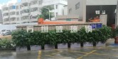 南山政府采购玻璃钢户外花箱美化垃圾清运站环境
